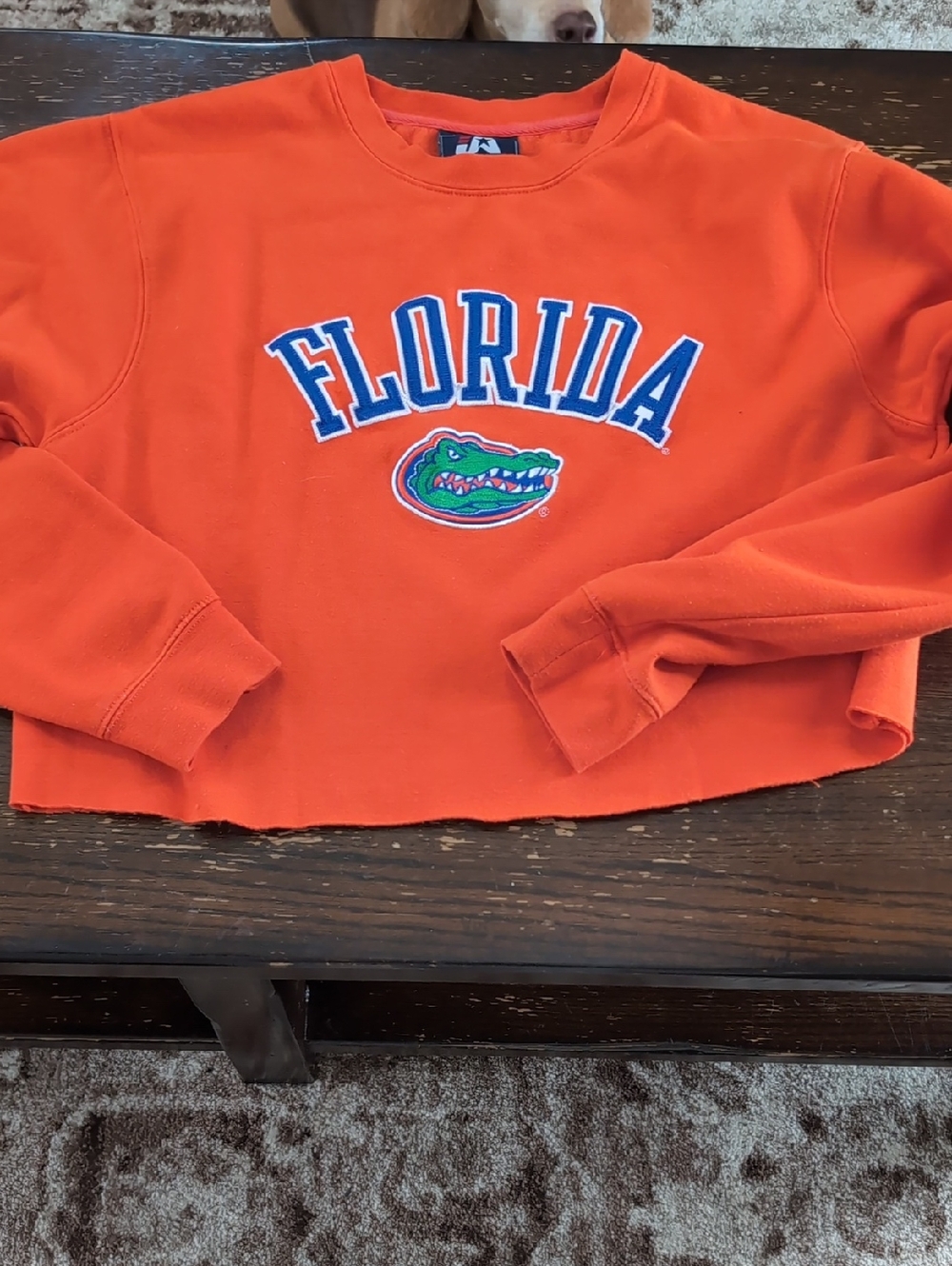 University Of Florida (UF) Gators Cropped Crewneck Sweatshirt